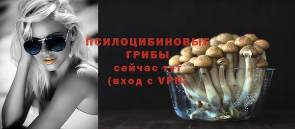 а пвп мука Елабуга