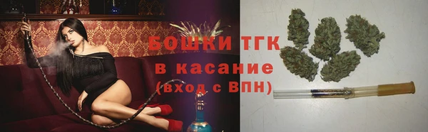 мдпв Дмитриев
