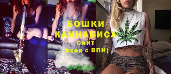 крисы Елизово