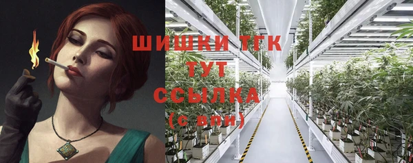 крисы Елизово