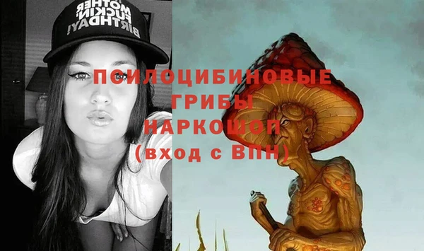а пвп мука Елабуга