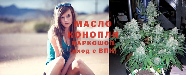 крисы Елизово