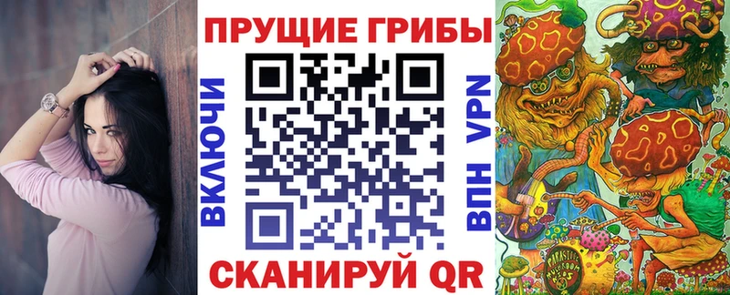 купить закладку  Ельня  Галлюциногенные грибы GOLDEN TEACHER 